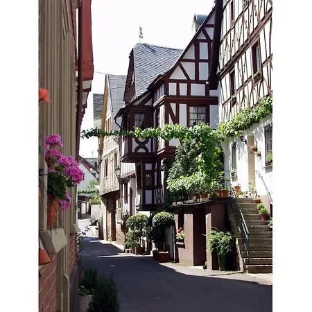 Brown Modern Retreat