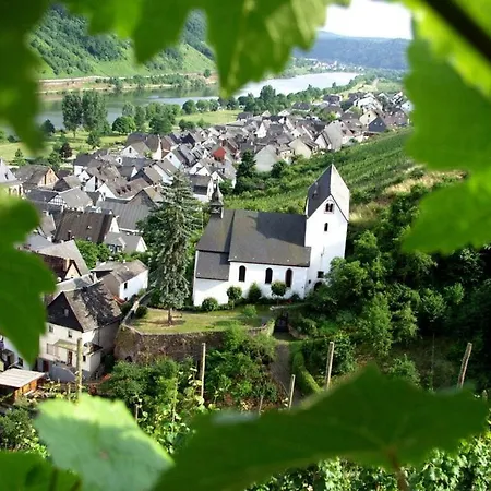 Vakantiehuis Brown Modern Retreat Sankt Aldegund