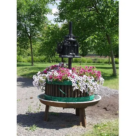 Vakantiehuis Brown Modern Retreat Sankt Aldegund