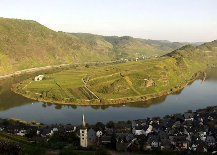 Brown Modern Retreat