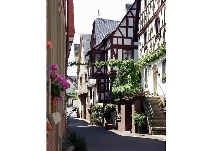 Brown Modern Retreat